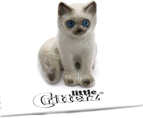 חתלתול קריטרז קטן - חתלתול Ragdoll Samantha - חתול לבן דקור בית חיה מיניאטורה חרסינה