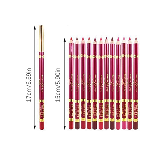 ליפ ליינר עיפרון אייליינר מט שפתון עט 3 ב 1 נייד איפור עיפרון, 12 צבע זמין לטווח ארוך עמיד למים ללא סימון