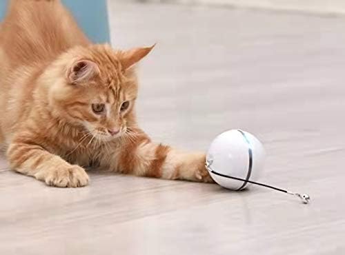 Phtw חתול מצחיק חתול צעצוע כדור חתלתול עצמאי