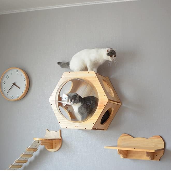 קיר רכוב חתול טיפוס מסגרת חתול עץ חתול צעצוע קפסולת חלל לשחק בית מערת חתלתול צעצוע מיטת עץ לחיות מחמד
