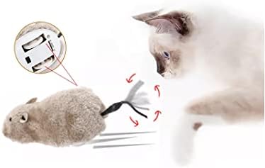 צעצועי חתול דיוקישי, צעצועי חתלתול לחתולים מקורה צעצועי חתול סט קיטי, ג ' וגטס פארה גאטוס, צעצוע חמוס, מתאים