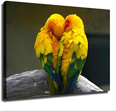 תוכי יפהב אהבה ציפור חיה אמנות פוסטר יצירות איכות הדפס קיר בד קיר, אמנות קיר וינטג 'לאסתטיקה בחדר