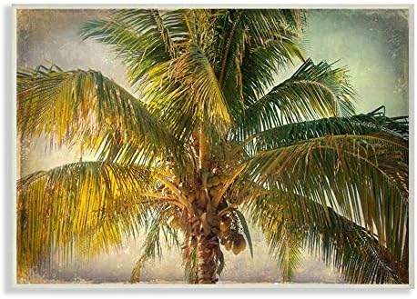 תעשיות סטופל במצוקה טרופי קיץ דקל עץ פרונד צילום קיר אמנות, 13 איקס 19, ירוק