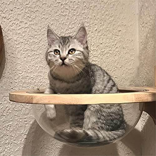 סלאטיום קיר רכוב שקוף קפסולת חלל חתולי קיר בית חתולי עץ עץ חתולי טיפוס מסגרת חתלתול מיטת מקפצה לחיות מחמד ריהוט