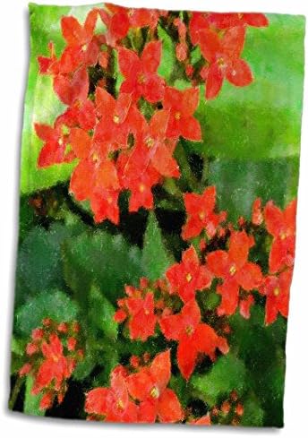 3 דרוז פלורן פרחוני מופשט - פרחים ירוקים אדומים - מגבות