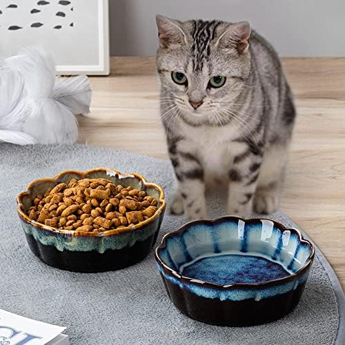 קערות חתול קרמיקה צדדיות, קערות חתולים בגודל 5 אינץ 'למזון ומים, קערות האכלה חיות חיות חמודות לחתולים ולכלבים