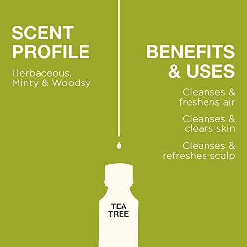 שמן אתרי של SpearMint לשמן מפזר ושמן עץ תה לעור למערכת מפזר - סט שמנים אתרים כיתה טיפולית