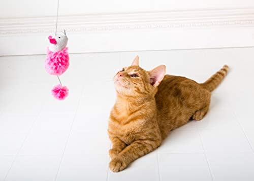 הרץ רק לחתולים בנד-שרביט חתול צעצוע