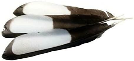 10 יחידות עורב כנף נוצות - אירו - 5-7 - טבעי שחור-לבן