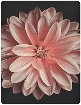 Alaza Pink Chrysanthemum Daisy פרח גליונות עריסה שחורים גיליון בסינט מצויד לבנים פעוטות תינוקות, מיני גודל 39