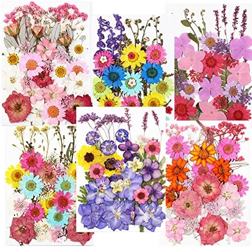 190 יח 'פרחים מיובשים שקית חומר לבלטות, פרח מיובש בעבודת יד פרח אמיתי, עלים טבעיים, שילוב דגימת