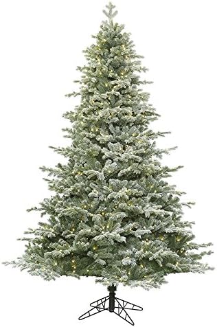 ויקרמן חלבון דנטון אשוח עץ חג המולד, K169646ד