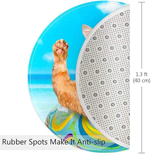 Heoeh חתול אוכל ים אבטיח, לא שולחנות ללא להחליק 15.7 שטיחי שטיחים שטיחים בשטח שטיחים לילדים לחדר