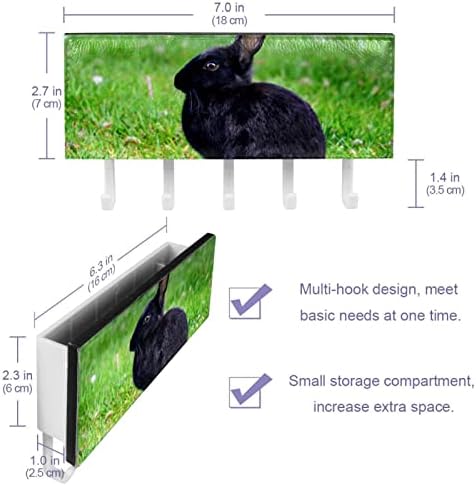 ארנבת בר שחורה מארגן מדף דשא ירוק עם 5 ווים מדף מדף מטבח קיר מדף אחסון רב -פונקציונלי