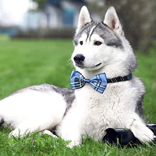 סגרטי 70 יחידות כלב עניבות פרפר בתפזורת, 40 יחידות עניבות פרפר כלב, 30 יחידות בנדנות כלב לכלבים בינוניים