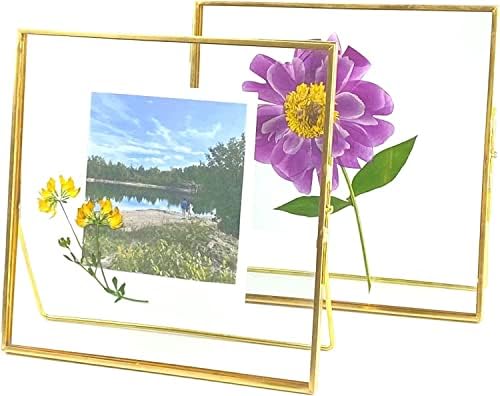 מסגרת זכוכית כפולה של Beedecor לפרחים לחוצים, עלה ויצירות אמנות - זהב 6x6 מסגרות תמונה מתכת מרובעות,