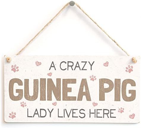Meijiafei היזהר משלט חזיר הניסיונות לאוהבי חזיר גינאה שלט התראה של חיות מחמד מצחיק פלאק לחיות מחמד 10
