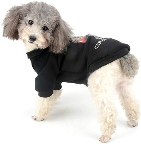 רנפי סוודר סוודר סוודר כלבים קטן.