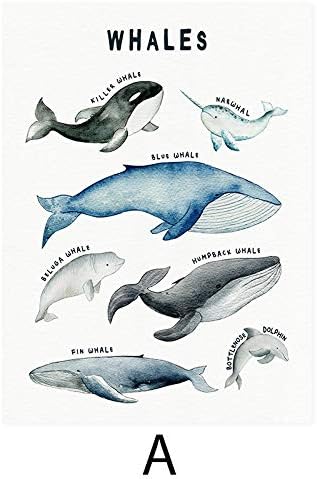 הדפסות בד ציור קיר אמנות תמונות לווייתנים לווייתני כרישים כרזות פוסטרים בעלי חיים הדפסים משתלת לילדים