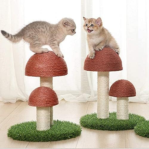 מגדל עץ חתולים של AMOTURE, חתול פטריות מגרד גירורי חתולים מרכזי פעילות מטפסים מטפסים עם פוסטים מגרדים