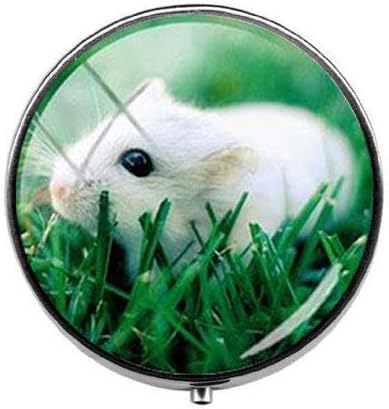 יפה יפה קטן לחיות מחמד עכבר אוגר גלולת תיבת-קסם גלולת תיבת-זכוכית סוכריות תיבת אמנות תמונה