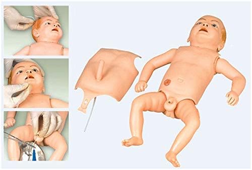 פויילי מניקין מודל הוראה - סימולטור לטיפול בחבל טבור של יילודים - איש טיפוח לתינוקות בכיר MANIKIN -