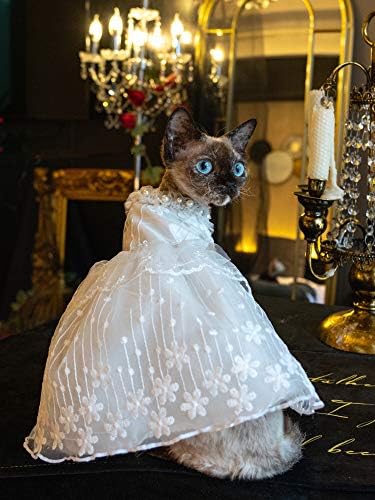 בגדי חתול חסרי שיער של אוצסטין, שמלת כלה לבנה עם שמלת ערב תחרה פנינה לספינקס, קורניש רקס, דבון רקס,