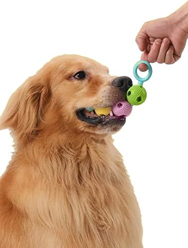 Qwinee 1 pcs כדור צבע חילול כלב בקיעת שיניים לועס כלבי צעצועים עמידים צעצוע אינטראקטיבי עמיד