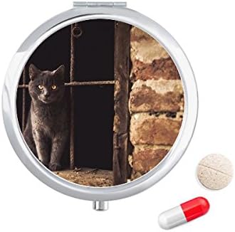 בעלי החיים פינת חתול צילום תמונה גלולת מקרה כיס רפואת אחסון תיבת מיכל מתקן