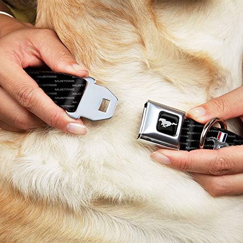 אבזם-למטה כלב צווארון חגורת בטיחות אבזם פורד מוסטנג ברים חוזר טקסט, 1.5 רחב-מתאים 18-32 צוואר-גדול