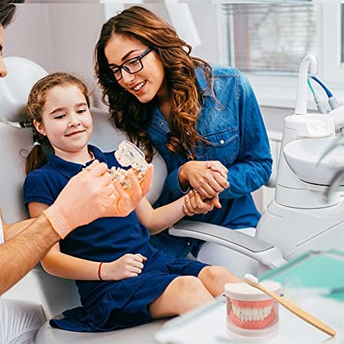 ערכת רופאי שיניים של זרודקו לילדים שיניים חינוך מוקדם צחצחים צעצועים דגם שיניים סטנדרטי עם מגש עץ ומברשת שיניים