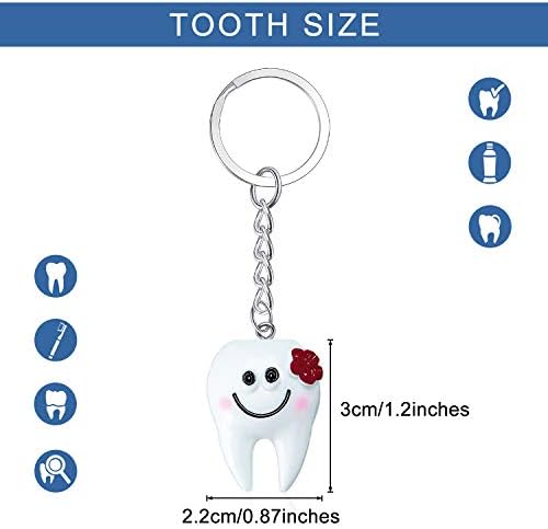 24 חתיכות שן צורת מחזיק מפתחות שרף שן מפתח טבעת לרופא שיניים מתנת תיק תליון