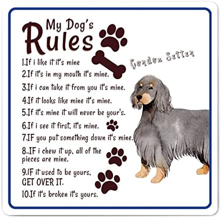 שלי כלב של כללים מצחיק כלב מתכת פח סימן מתכת אמנות עם סרקסטי לחיות מחמד כלב אומר רטרו חמוד גור
