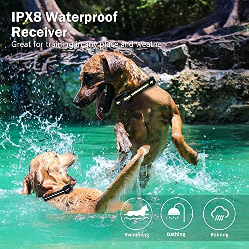 צווארון אימוני כלבים עם צווארון הלם אלקטרוני עמיד למים עמיד למים לכלבים קטנים בינוניים גדולים, צפצוף,