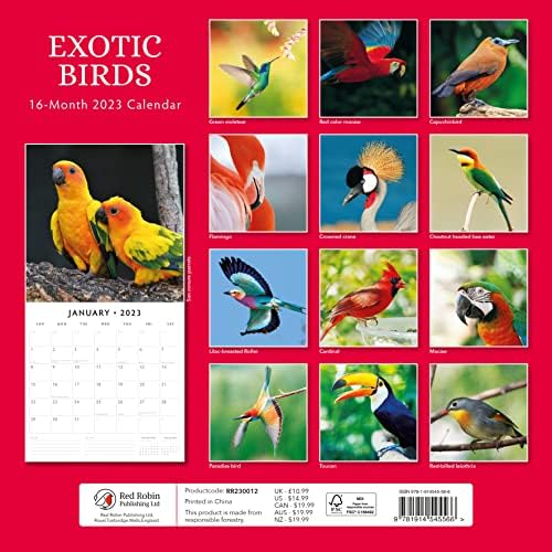 2023 ציפורים אקזוטיות לוח שנה קיר חודשי על ידי לוחות שנה אדומים רובין 12 x 12