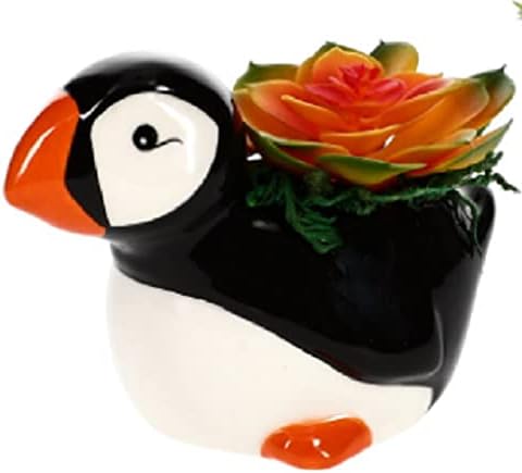 סיר קרמיקה עסיסי של פינגווין - ערכות מתנה ייחודיות לסיר פרחים או תכשיט
