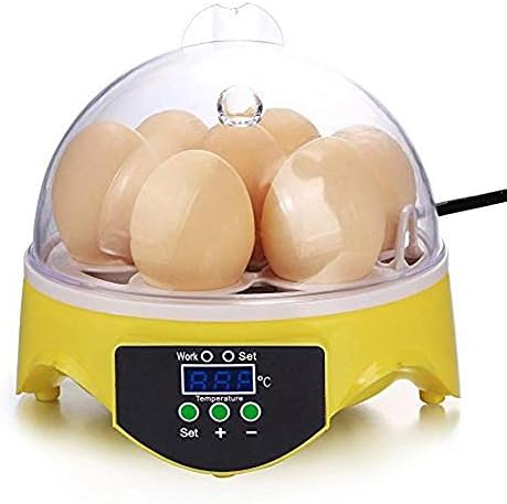 103234536 7 ביצי מיני דיגיטלי אוטומטי טמפרטורת בקרת חממה שקוף האצ ' עבור תרנגולות ברווזים ציפורים