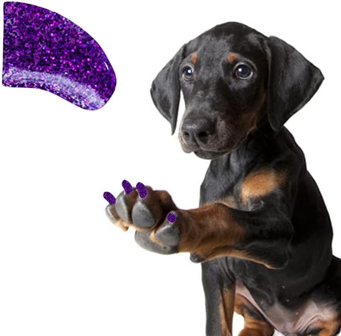 די טפרים 1 שנה אספקת רך נייל כובעי עם דבק עבור כלב טפרים - אמטיסט גליטר איקס קטן