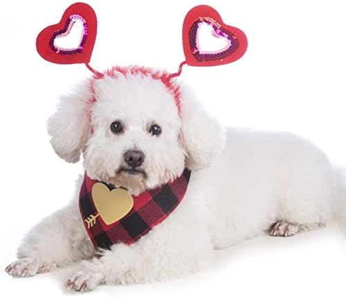 תלבושת של Coomour Dog's Valentine Stabut