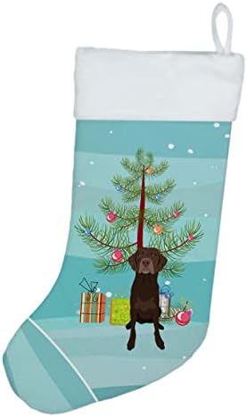 אוצרות קרוליין WDK3085CS Labrador Retriever שוקולד 2 גרב חג המולד לחג המולד, אח תלויה גרביים לעונה חג המולד עיצוב