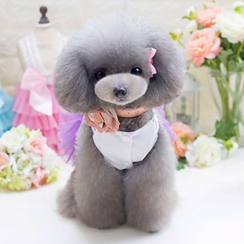 קטן_לוצקי_חנות נסיכת טוטו מסיבת כלבים עם קשת בגדי קפלים לחיות מחמד הלטר חצאית רשמית, איקס-קטן, סגול