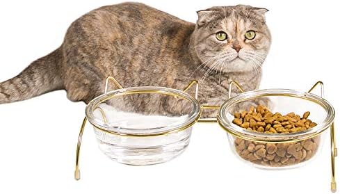 קערות מזון ומים לחתולים קוצ ' י, קערות חתולים מוגבהות למזון ומים, קערות זכוכית מוגבהות לחיות מחמד