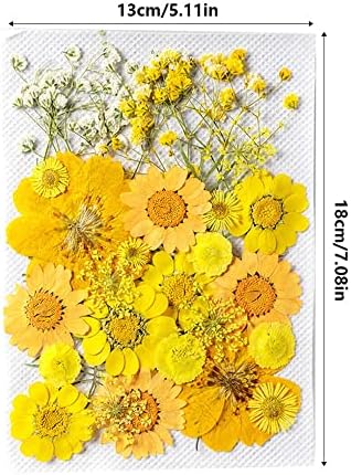 FXZGXS אמנותי לחוץ קישוט פרחים פרחים מובלטים שמורים מדבקות דקורטיביות של צמח יבש לאיפור פנים