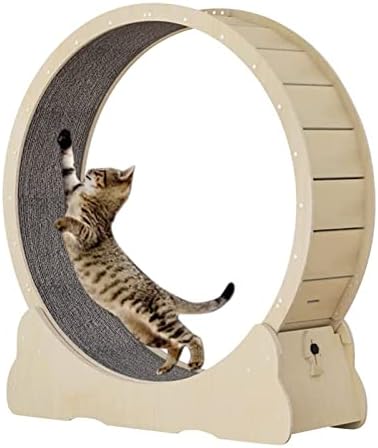 HDYZJQ חופשי מתאמן חתול גלגל לריצה לחיות מחמד, חתולי פנים המריצים הליכון עץ צעצועים בפחות מ- 8 קג, עם