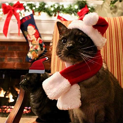 תחפושת לחג המולד של חתול כובע סנטה עם מתנה לצעיף לחתך על חיות מחמד חתולים חתולים קטנים כלבים
