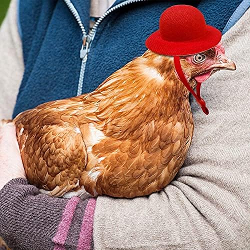 כובעי עוף לתרנגולות זעירות אביזרי עוף מצחיקים כובע נוצה רצועה אלסטי מתכווננת לברווז תרנגול תוכי עופות מופע מסוגנן