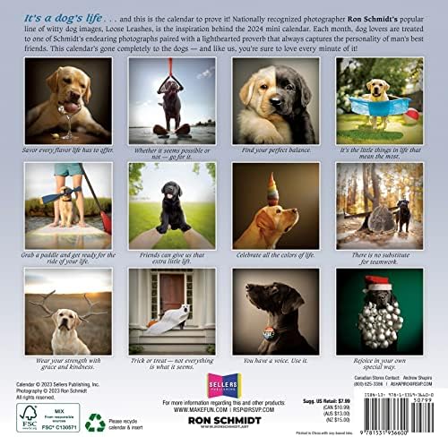 לוח השנה של Dogma 2024 מיני: מדריך לכלבים לחיים, 7 x 7