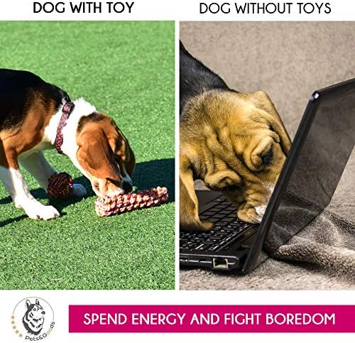 צעצועים לכלבים - חבילת צעצועים לחבלים קטנים - צעצועי כלב כלבים - צעצועים בגזע גזע קטן צעצועים - צעצועים