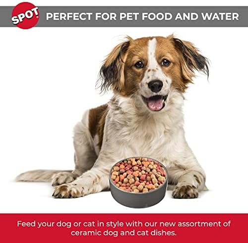 ספוט על ידי מוצרים אתיים-כבד קרמיקה מבריק כלב קערת חתול קערת עמיד כלב מזון ומים לחיות מחמד צלחת-מדיח כלים בטוח-2