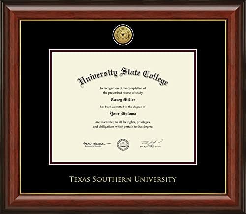 אוניברסיטת דרום טקסס - מורשה רשמית - תואר ראשון בתואר ראשון/טרום 2020 - מסגרת תעודת מדליית זהב